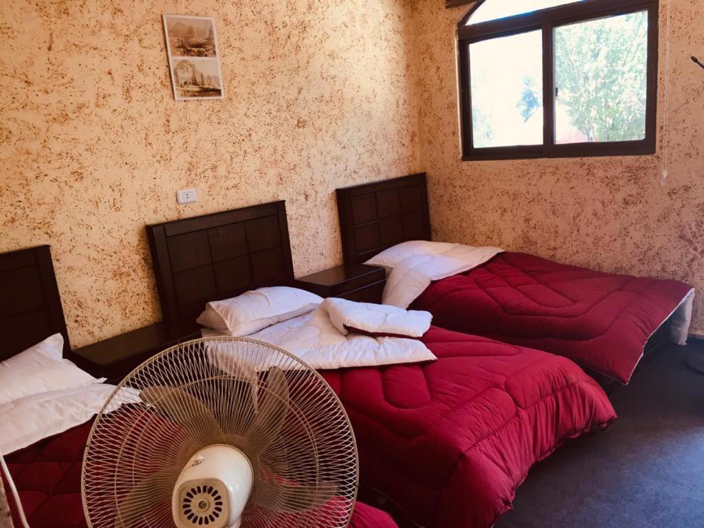 Petra Bedouin House Apartment Al Hayy Exterior photo
